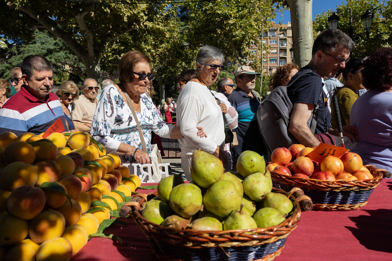 Las imágenes del Concurso Agrícola de La Rioja