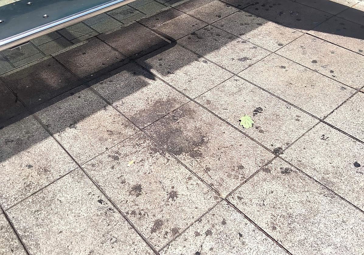 «Decepción absoluta» con las fiestas de San Mateo, en el Teléfono del Lector de hoy