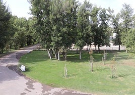 La pista se ubicará entre la Vía Verde y el puente sobre el Cidacos, respetando la mayoría de la arboleda de la zona.