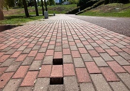Los temporeros y los conciertos de San Mateo, en el Teléfono del Lector de hoy