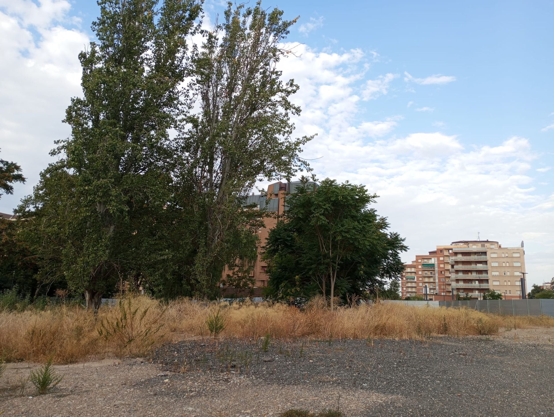Imagen de la parcela por la que han protestado los vecinos del edificio Patricia, con maleza junto al arbolado silvestre.