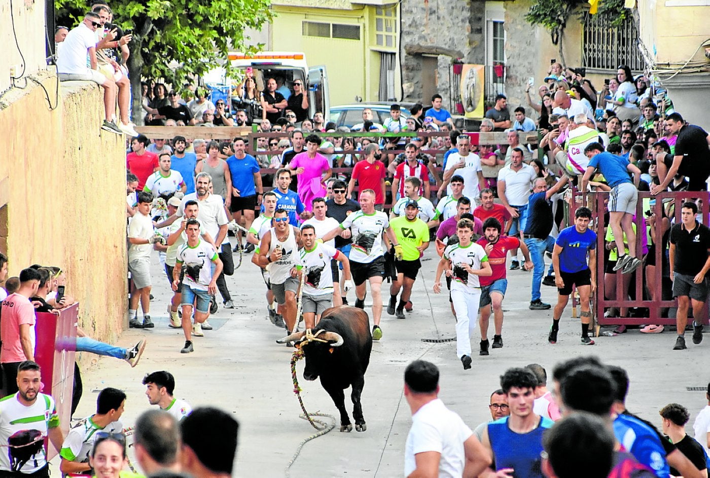 Salida del primer astado ensogado de la plaza de la iglesia, ayer en Cabretón.