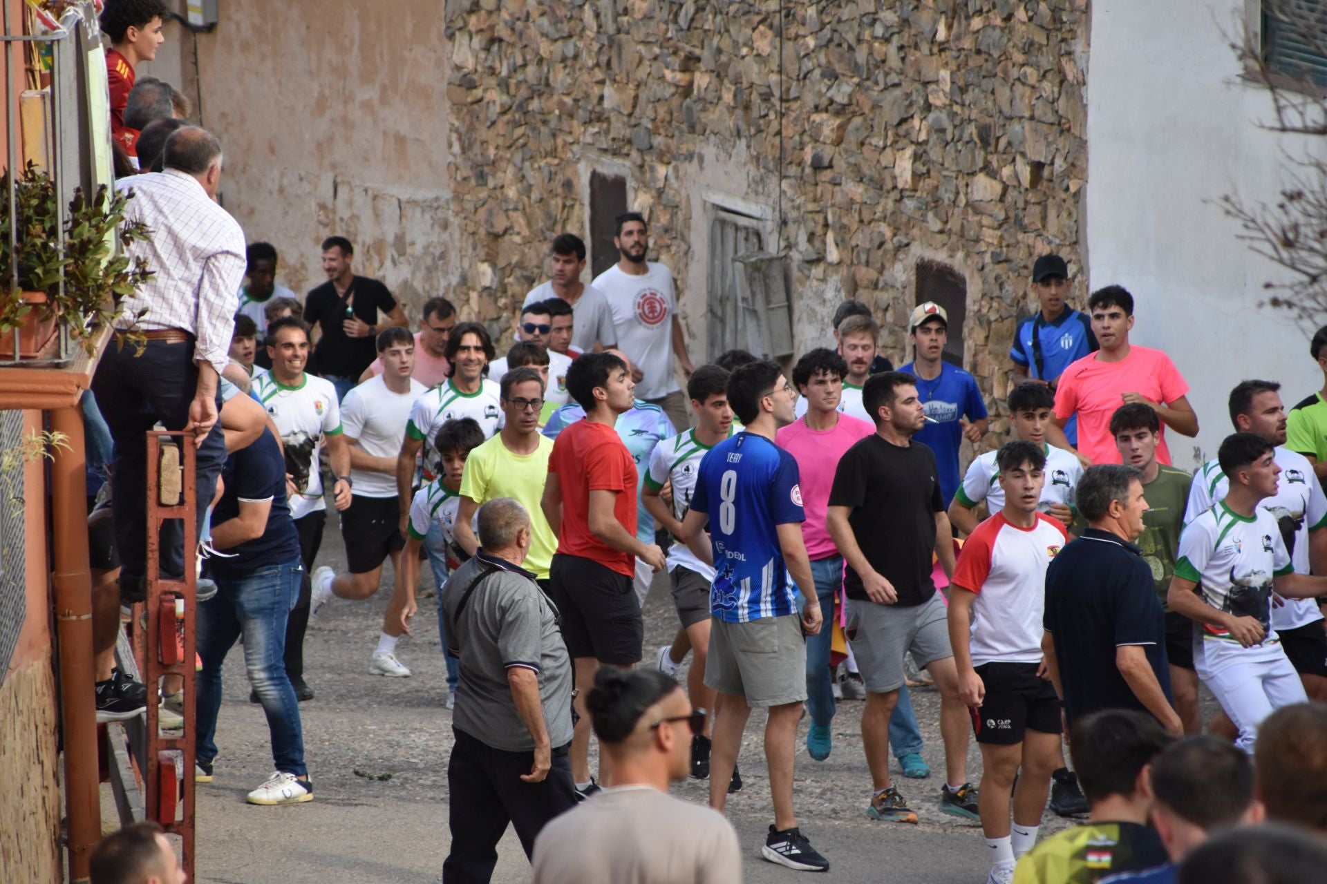 La suelta de toros ensogados, en imágenes