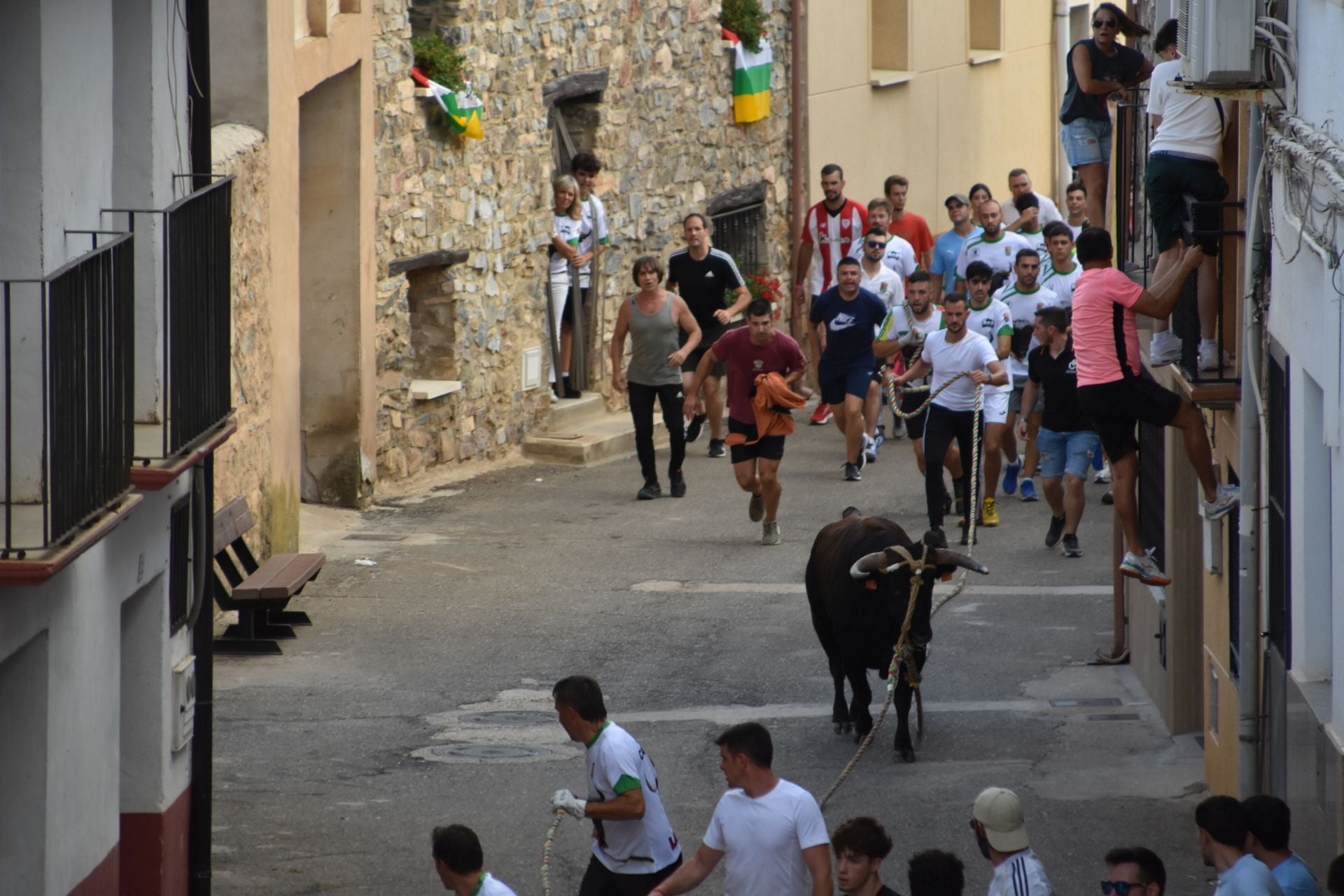 La suelta de toros ensogados, en imágenes