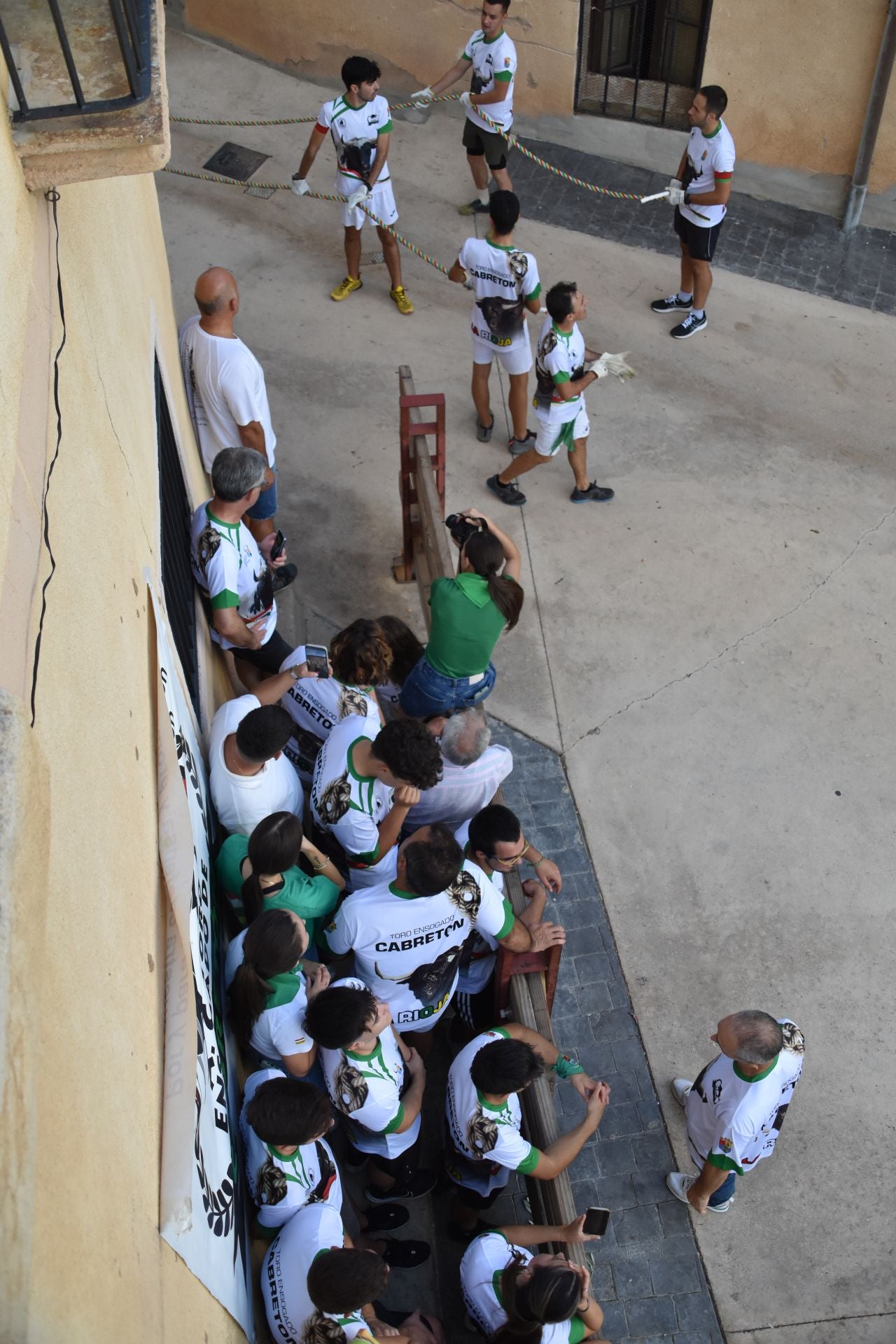 La suelta de toros ensogados, en imágenes