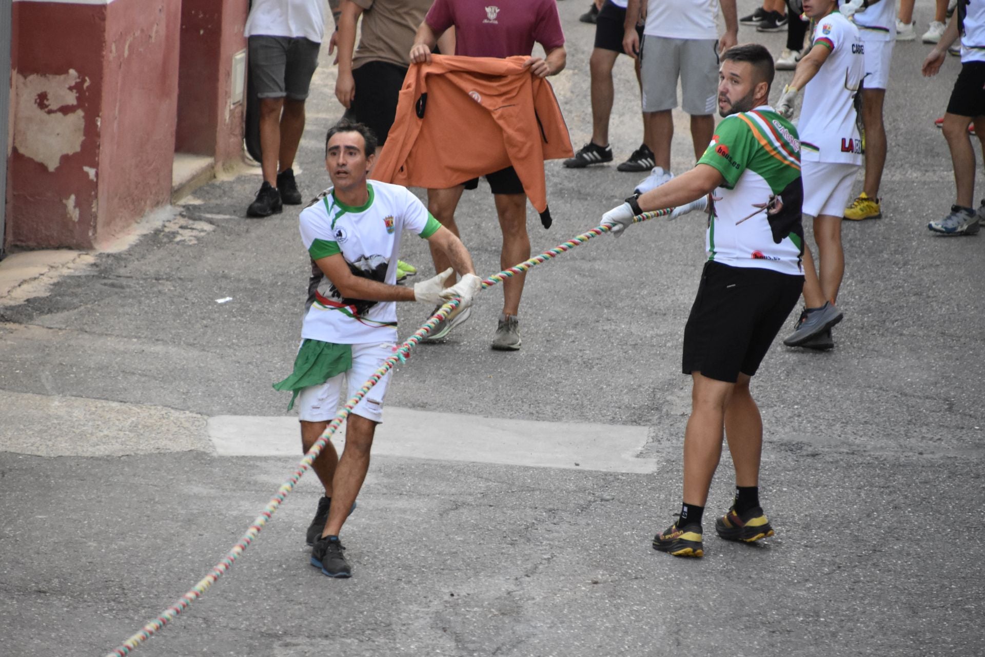 La suelta de toros ensogados, en imágenes