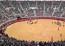 Susto en las vaquillas: un joven queda inconsciente tras ser volteado