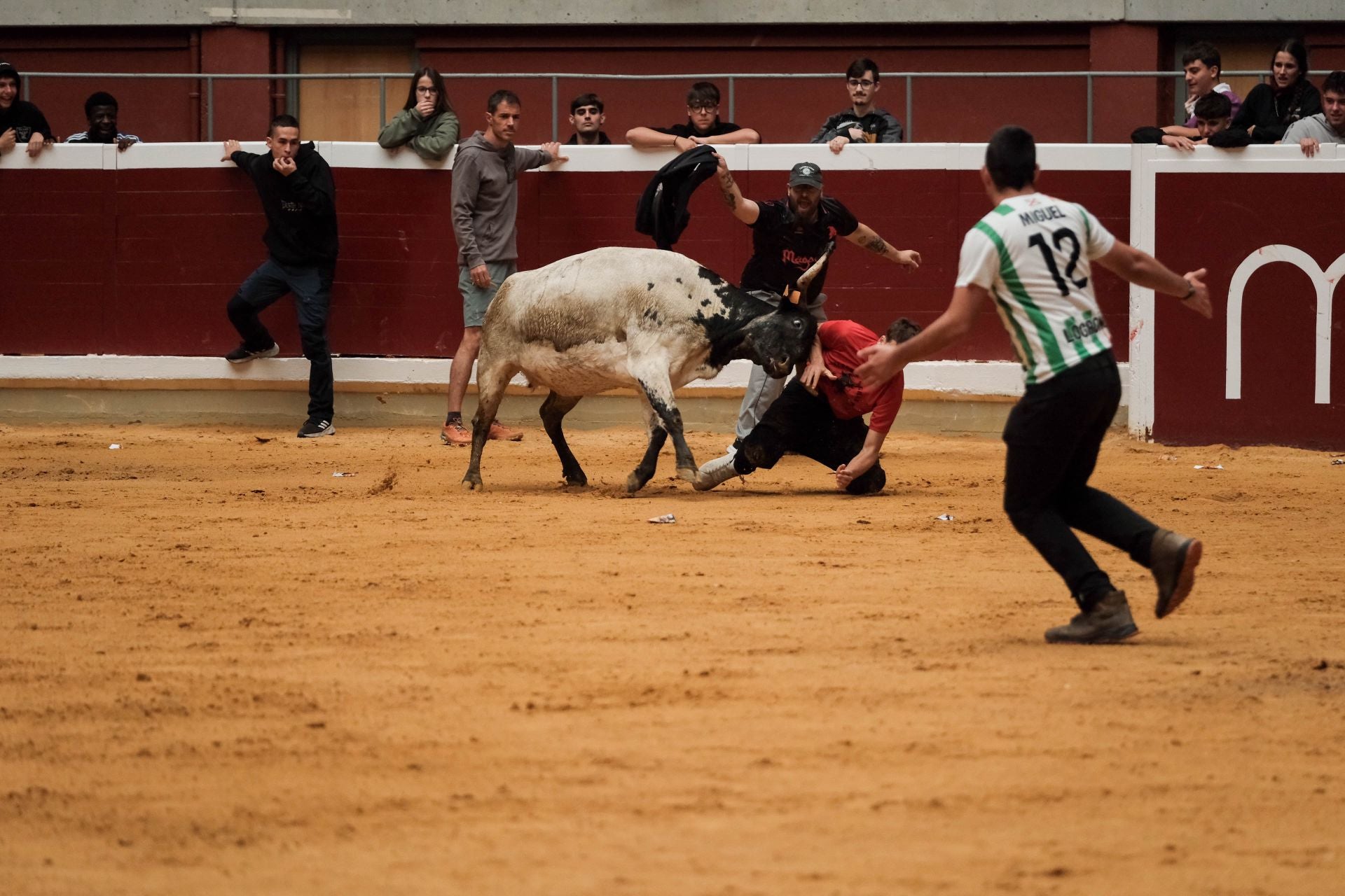 Las imágenes de las primeras vaquillas