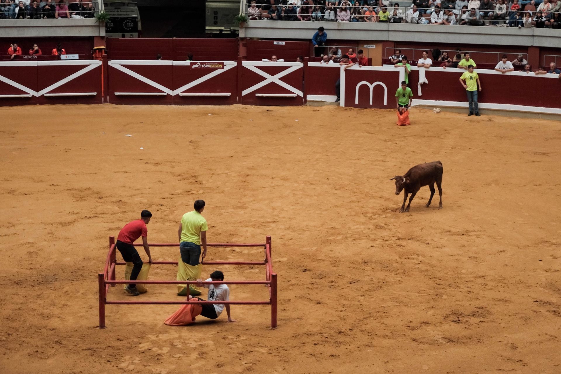 Las imágenes de las primeras vaquillas