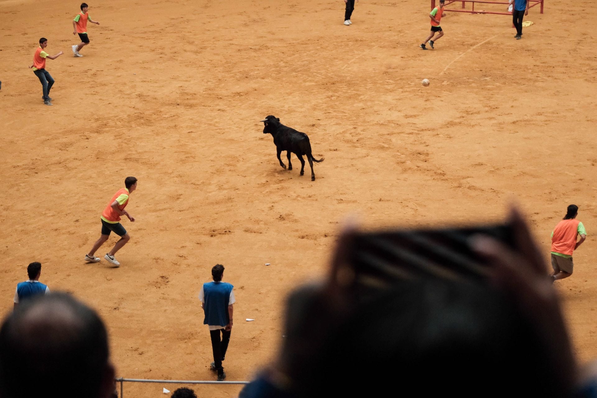 Las imágenes de las primeras vaquillas
