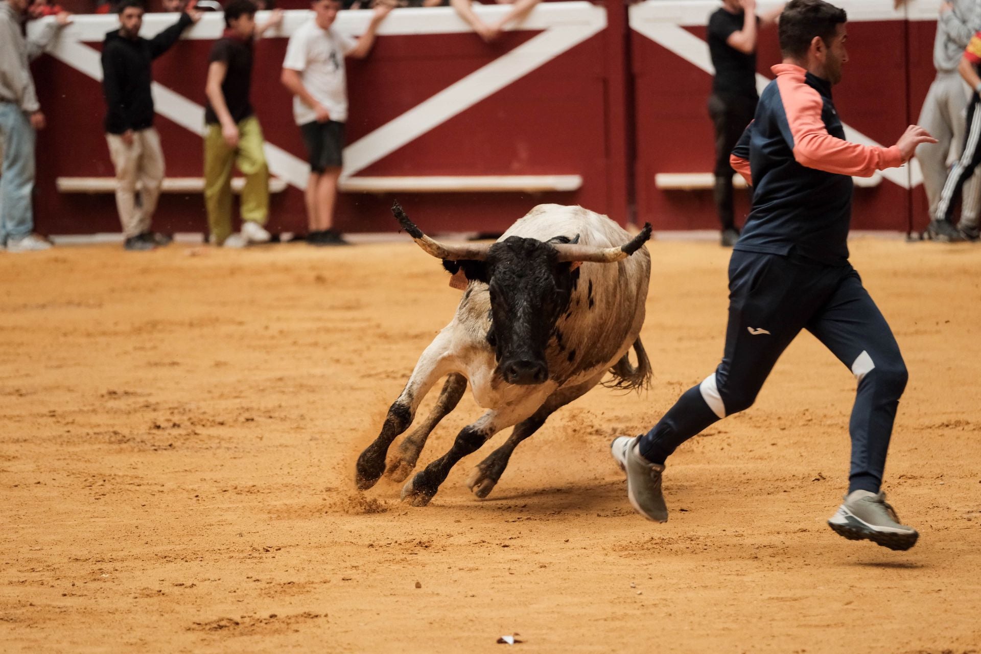 Las imágenes de las primeras vaquillas