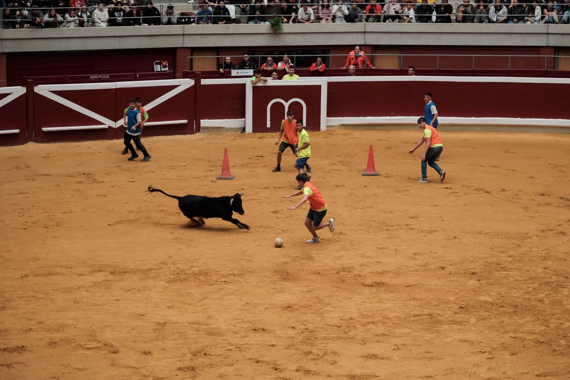 Las imágenes de las primeras vaquillas