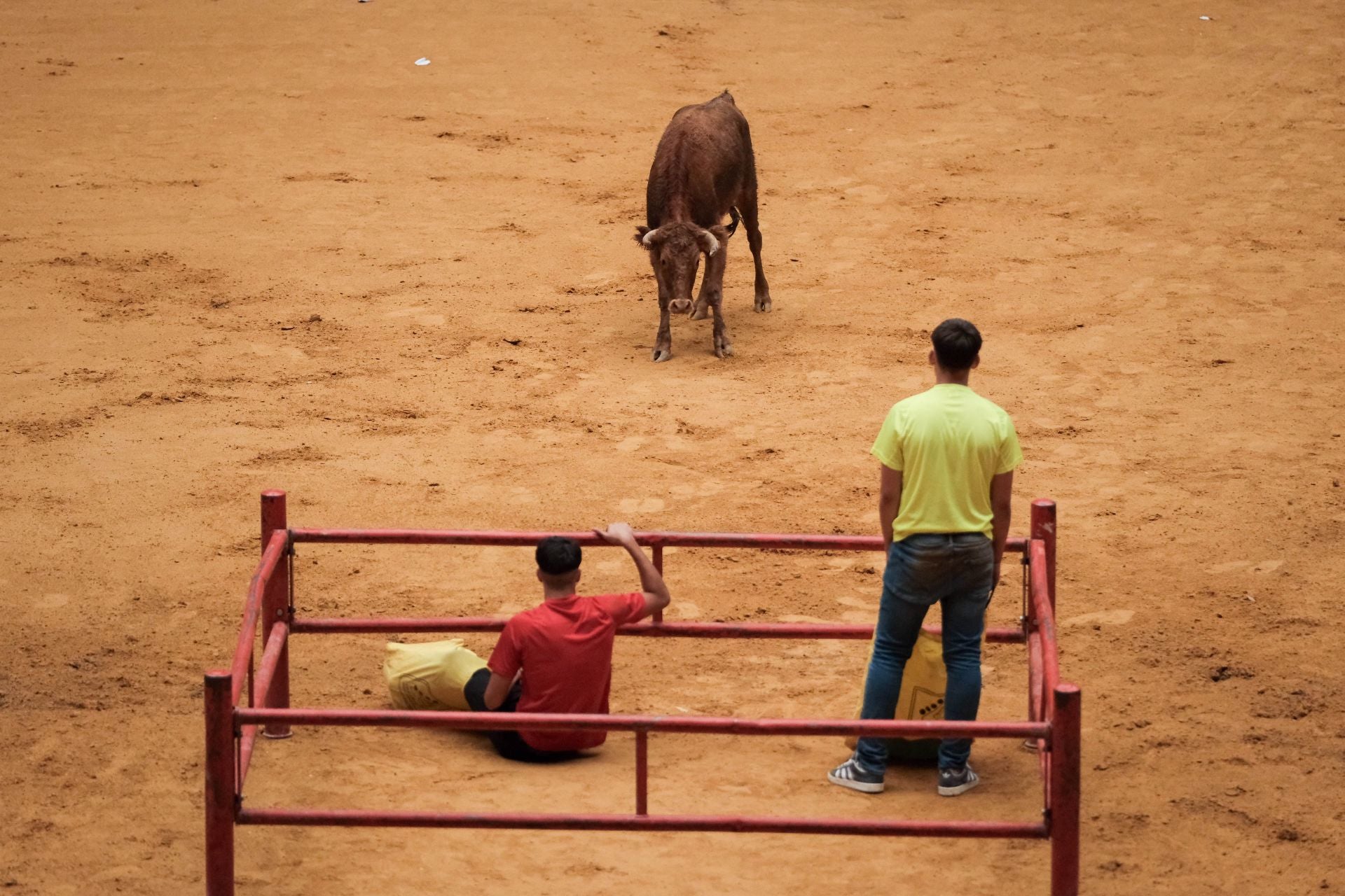 Las imágenes de las primeras vaquillas
