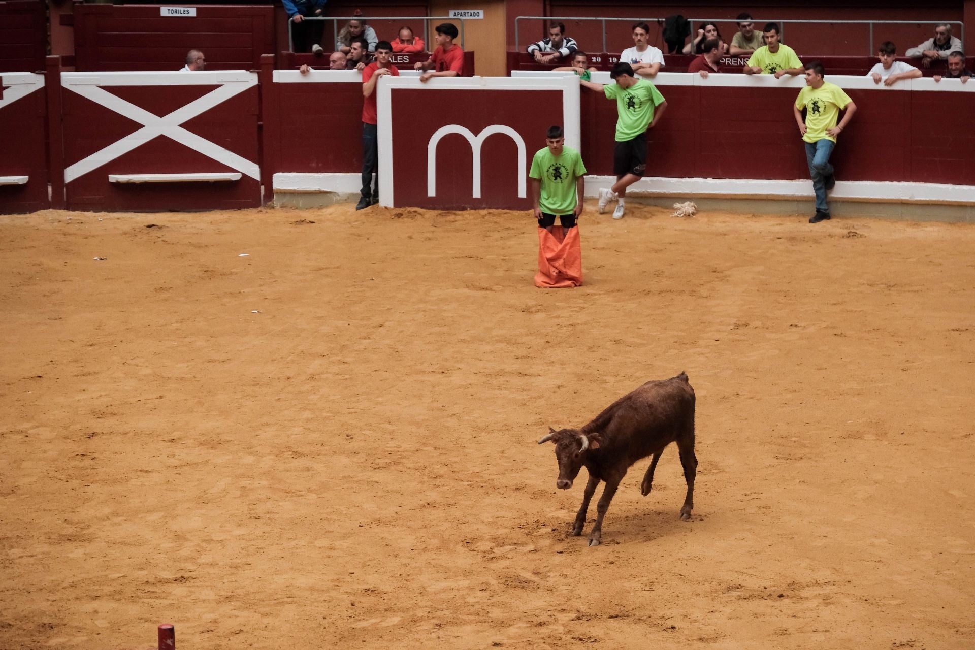 Las imágenes de las primeras vaquillas