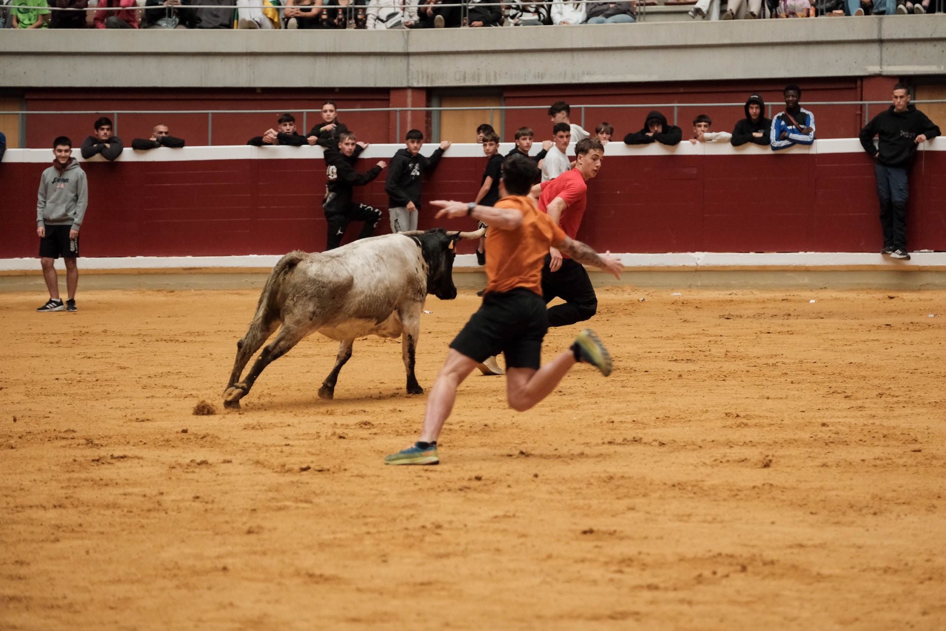 Las imágenes de las primeras vaquillas