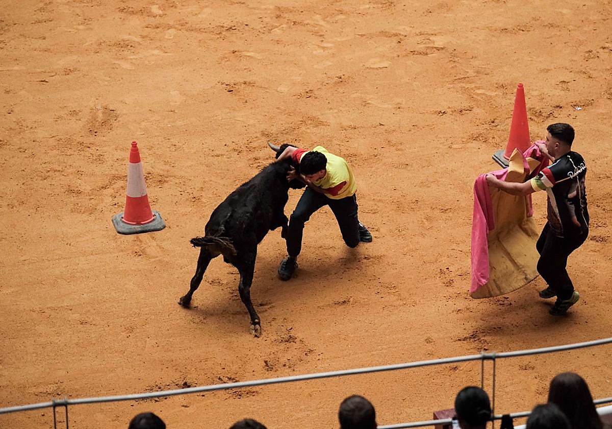 Las imágenes de las primeras vaquillas