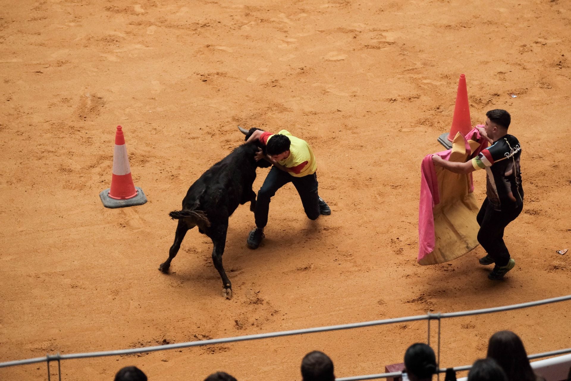 Las imágenes de las primeras vaquillas