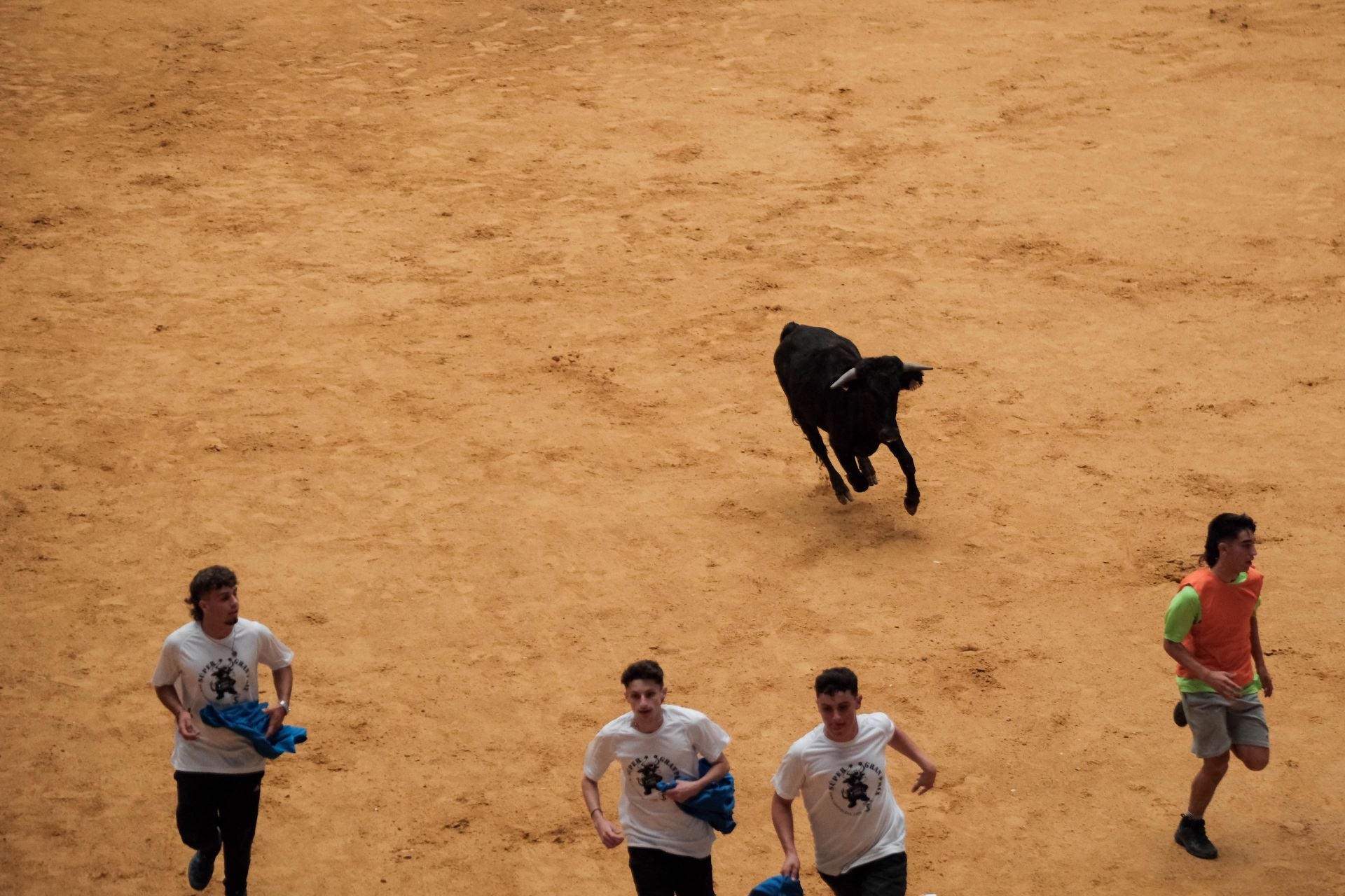 Las imágenes de las primeras vaquillas
