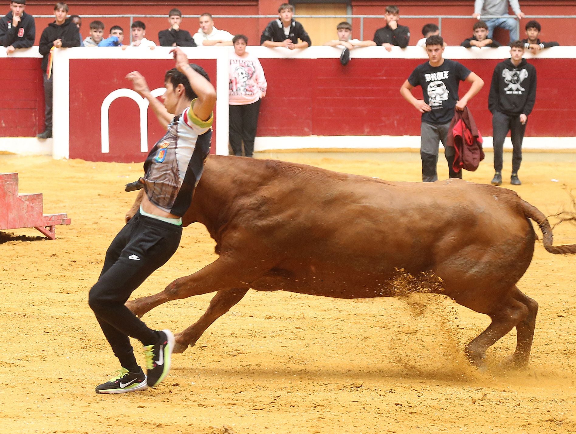 Una mañana de vaquillas en la Ribera