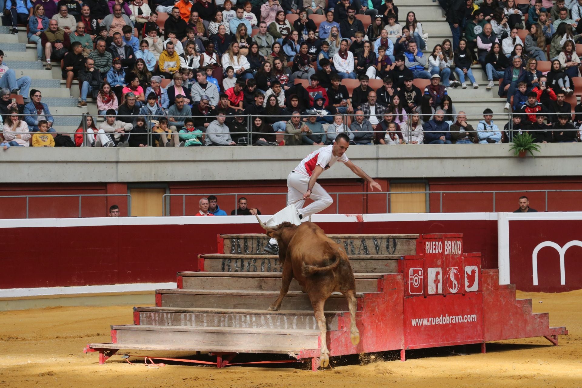 Una mañana de vaquillas en la Ribera
