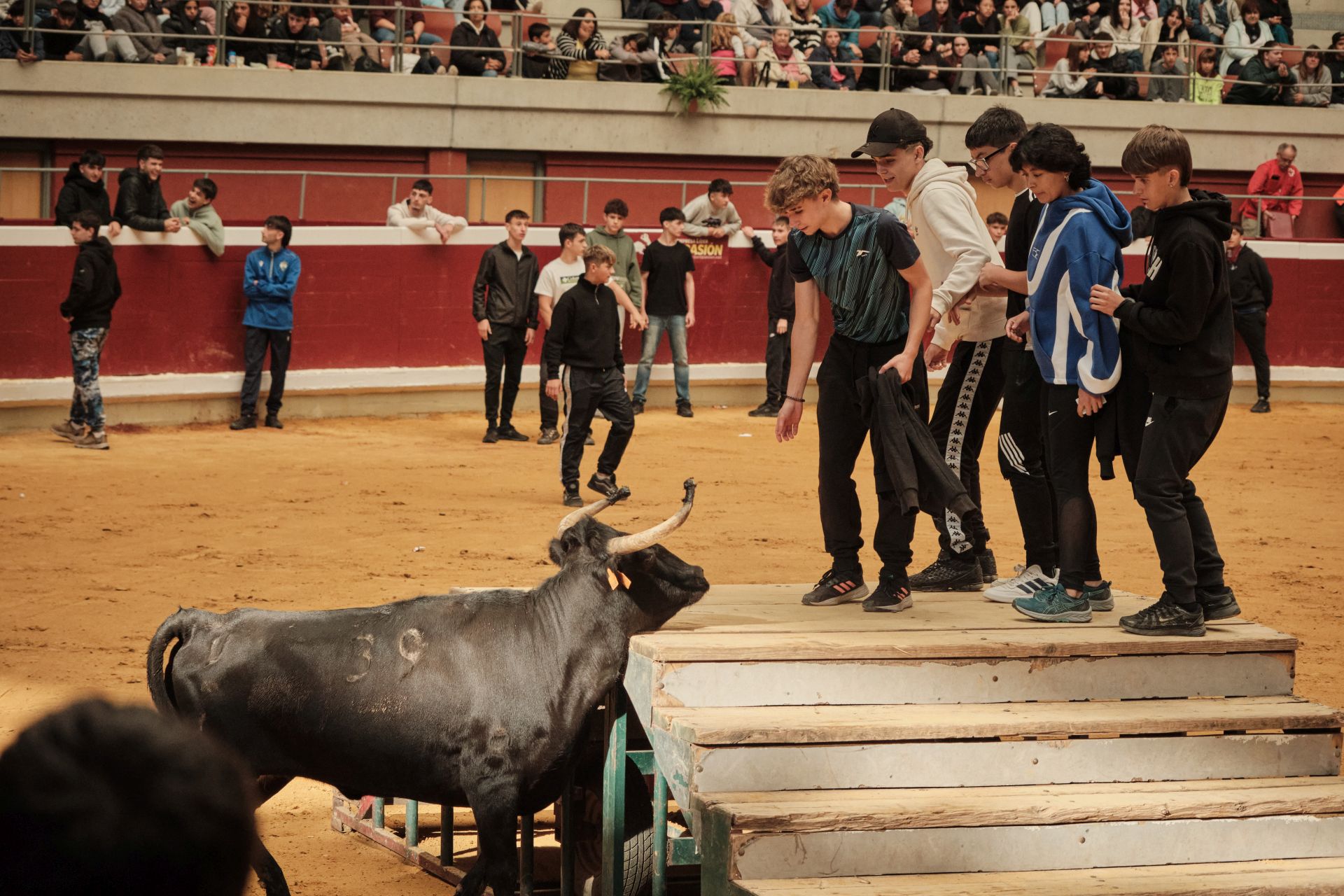 Martes de vaquillas en La Ribera