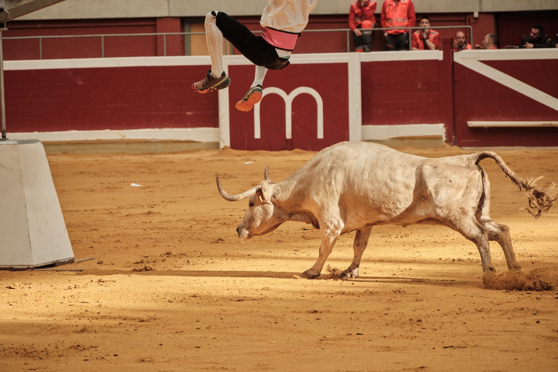 Martes de vaquillas en La Ribera