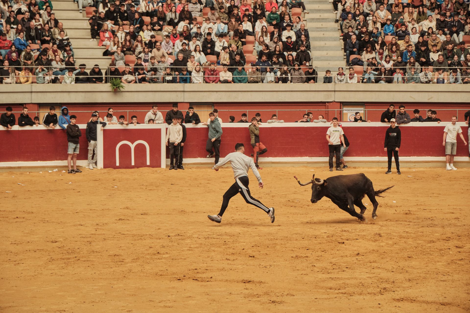 Martes de vaquillas en La Ribera