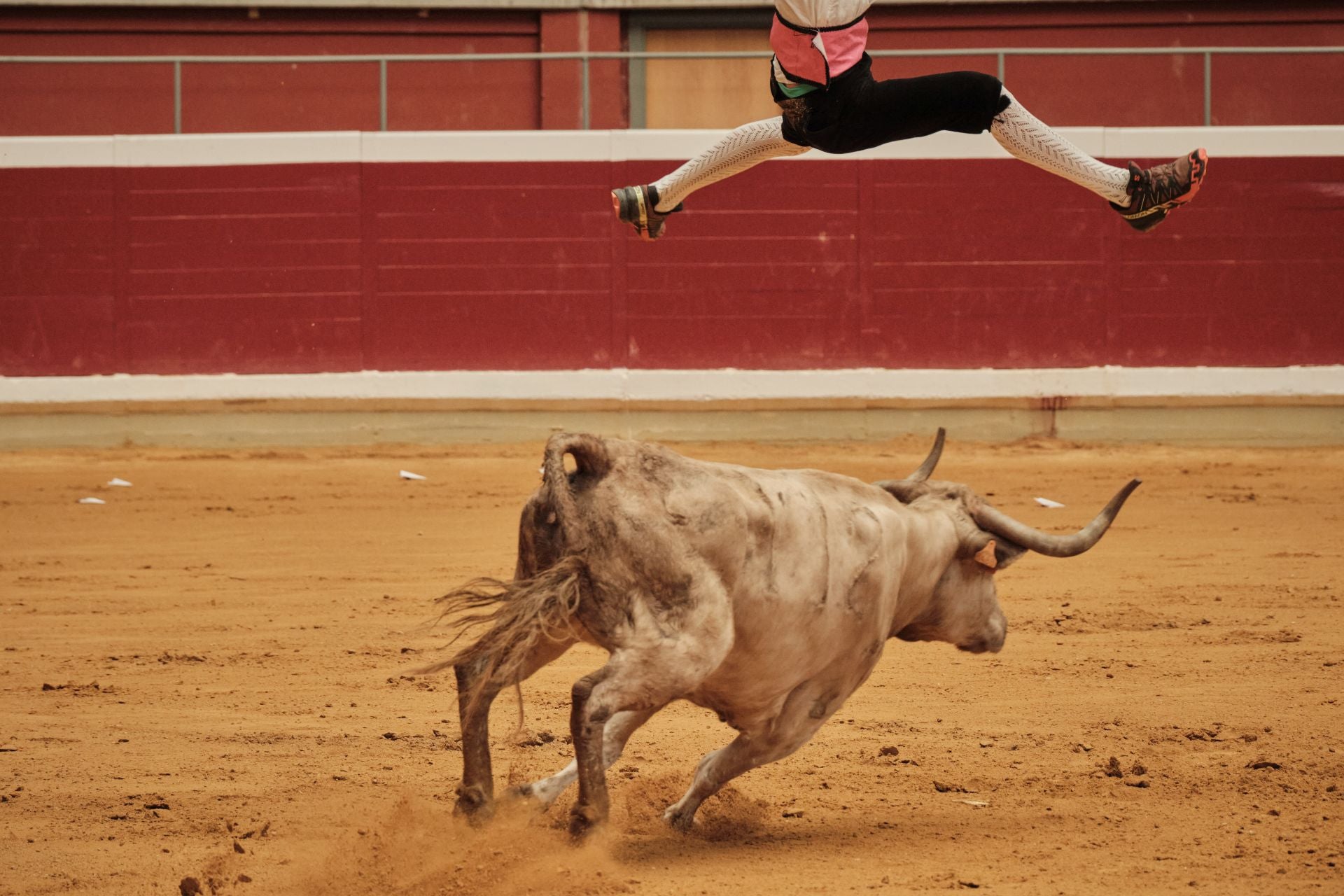 Martes de vaquillas en La Ribera