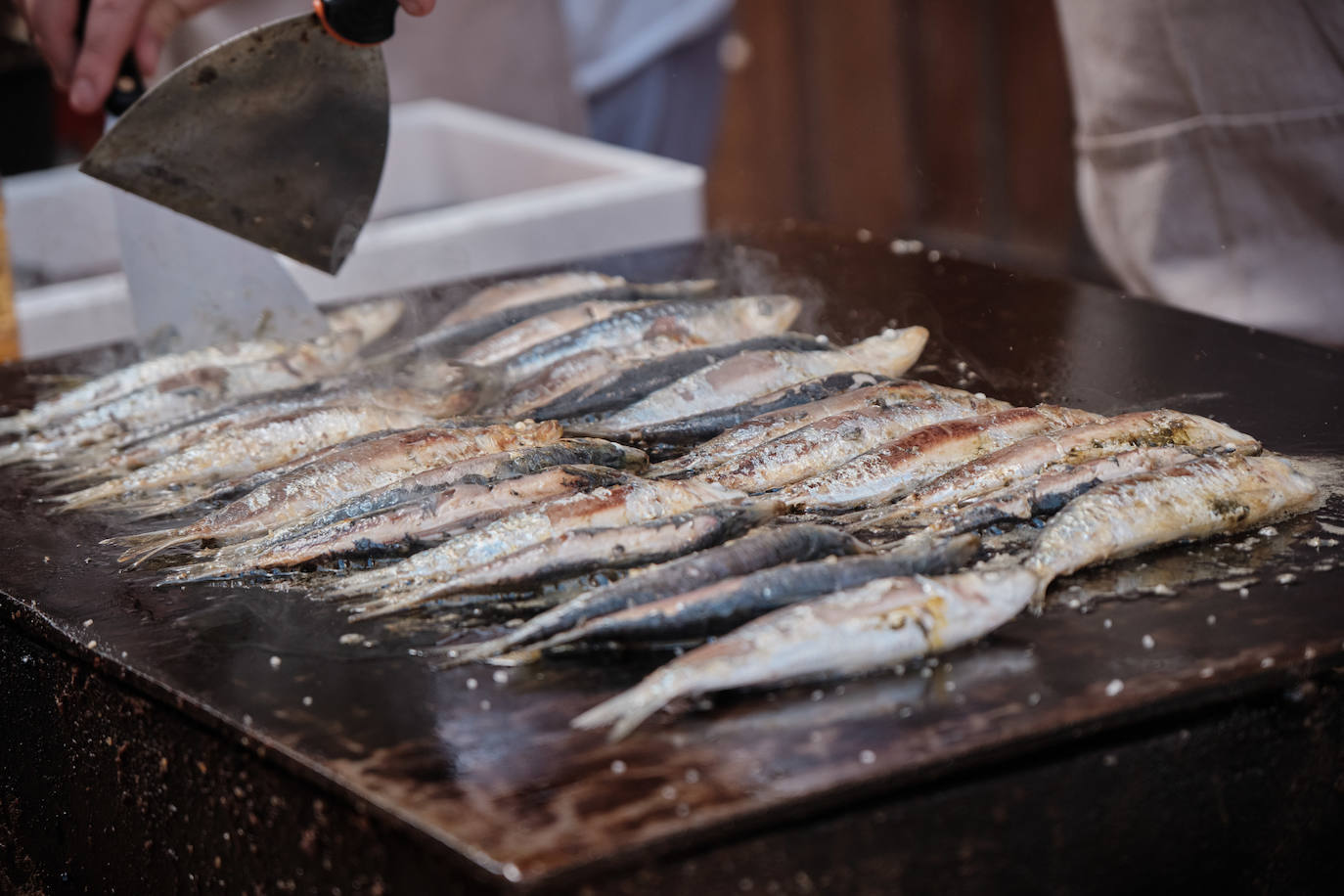 Logroño se llena de música, gigantes y sabores por San Mateo