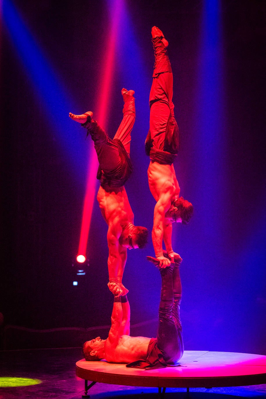 Las imágenes del Circo del Miedo en Logroño