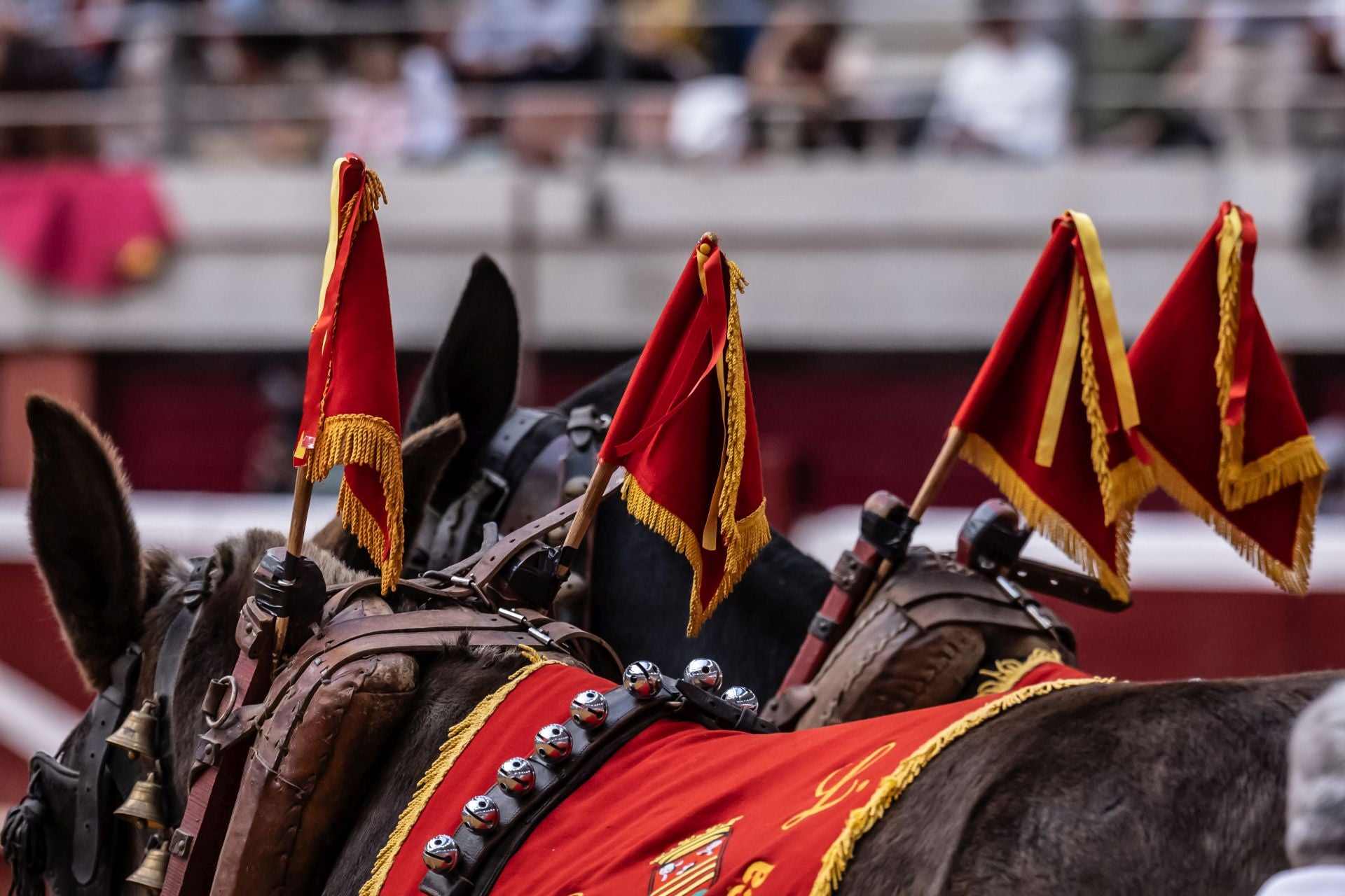 Borja Jiménez, a hombros en el cierre de la feria de San Mateo