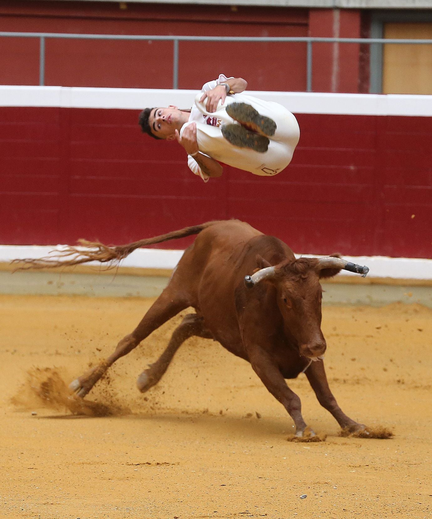 Las vaquillas tampoco defraudan el miércoles