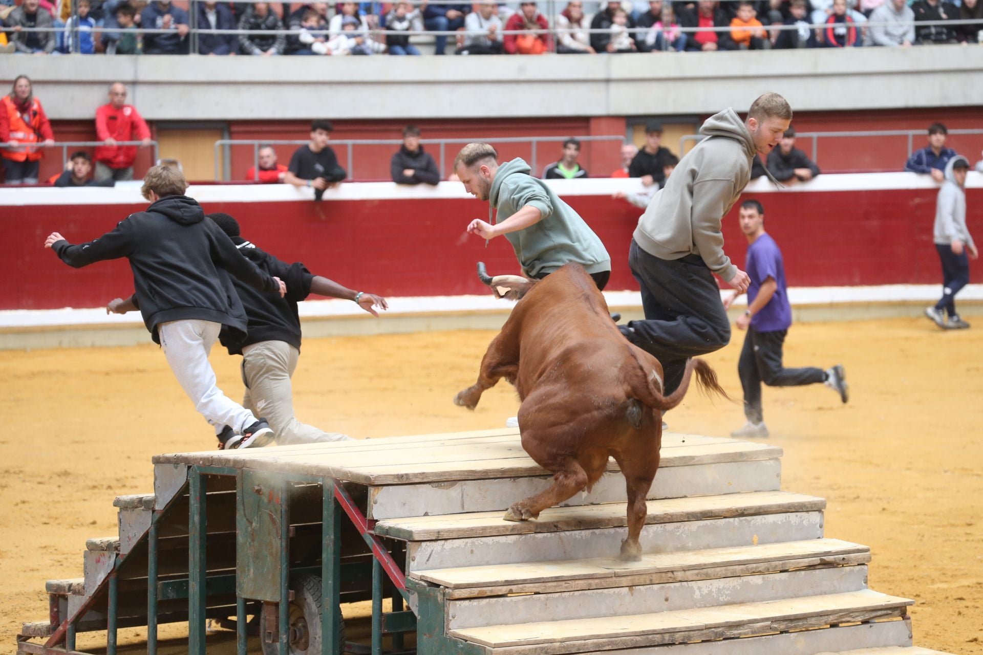 Las vaquillas tampoco defraudan el miércoles