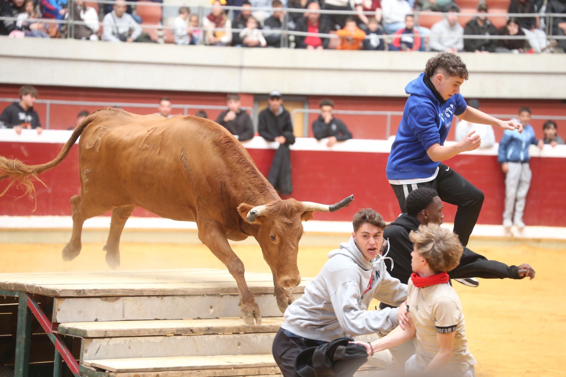 Las vaquillas tampoco defraudan el miércoles