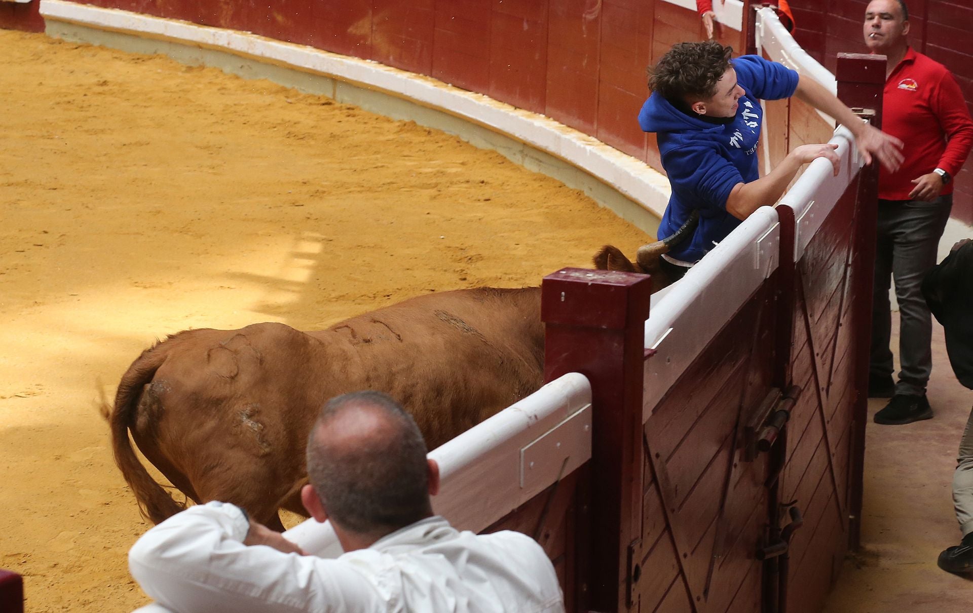 Las vaquillas tampoco defraudan el miércoles