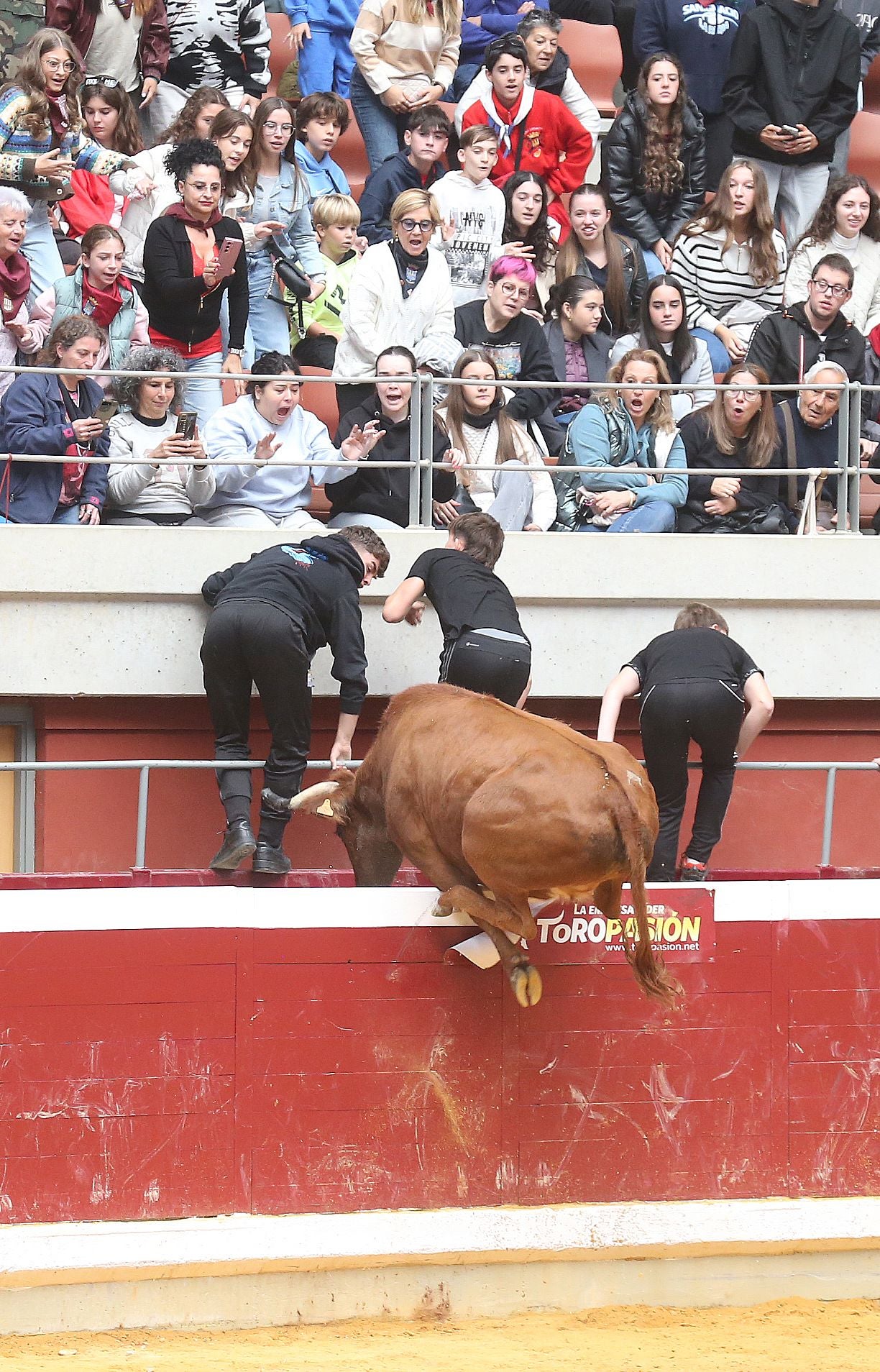 Las vaquillas tampoco defraudan el miércoles