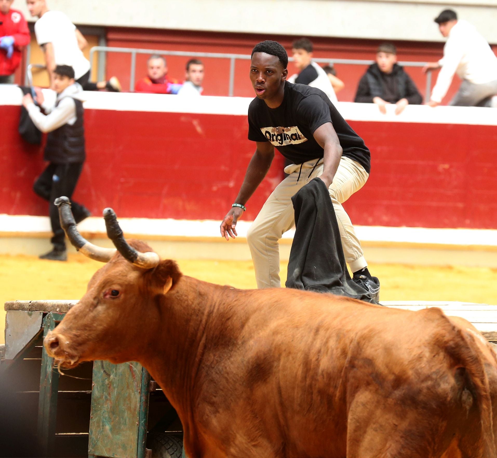 Las vaquillas tampoco defraudan el miércoles