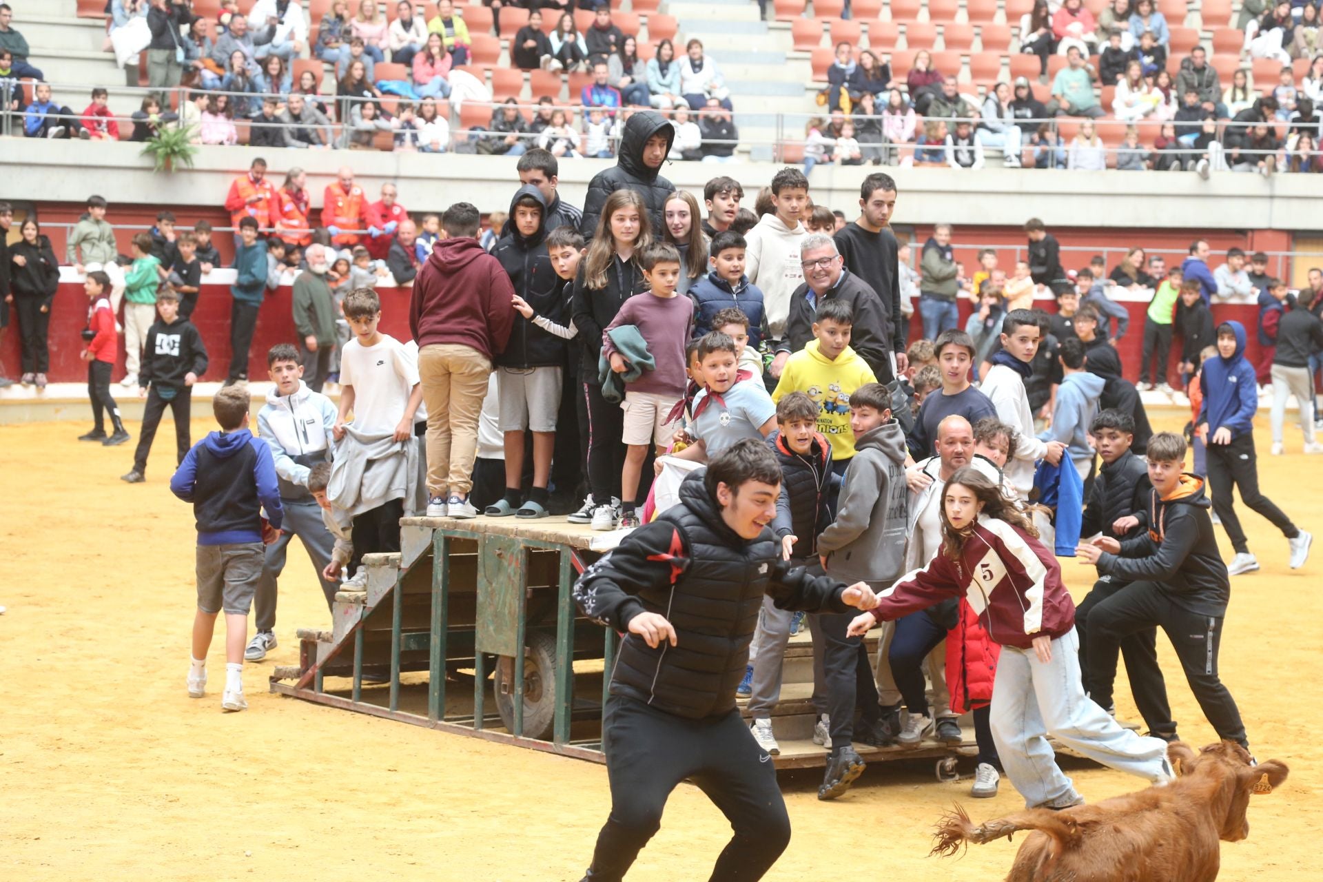 Las vaquillas tampoco defraudan el miércoles