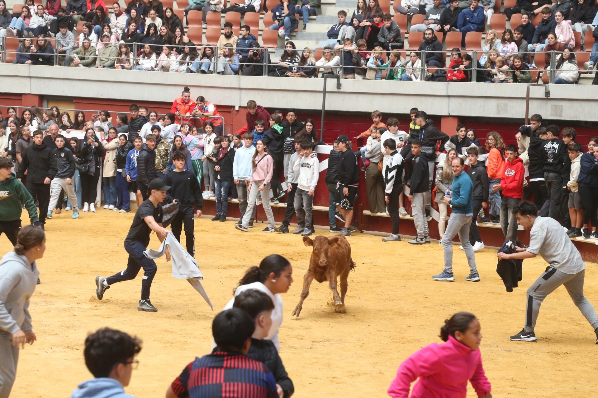 Las vaquillas tampoco defraudan el miércoles