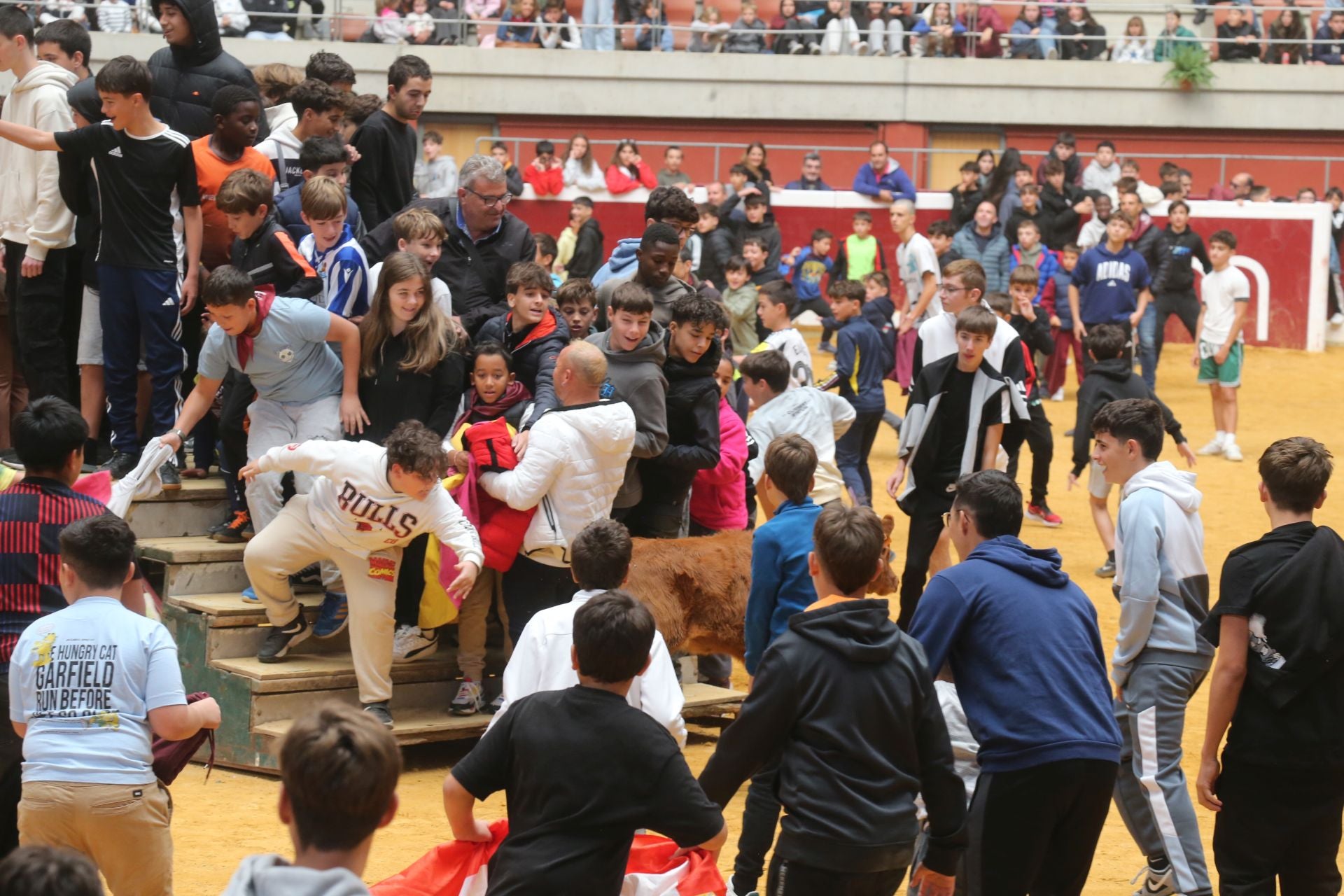 Las vaquillas tampoco defraudan el miércoles