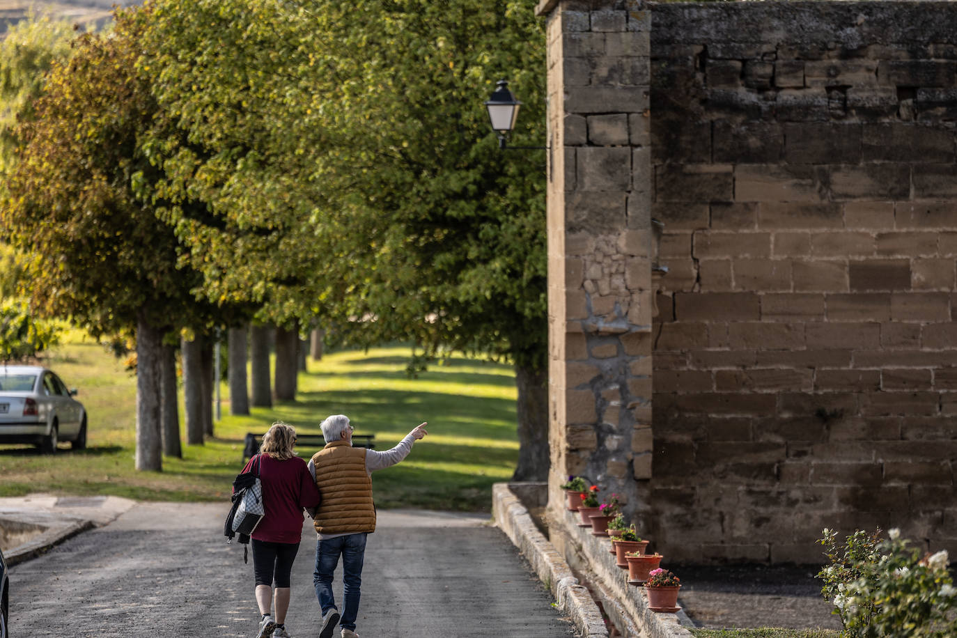 Las imágenes de la vendimia del santuario de La Estrella