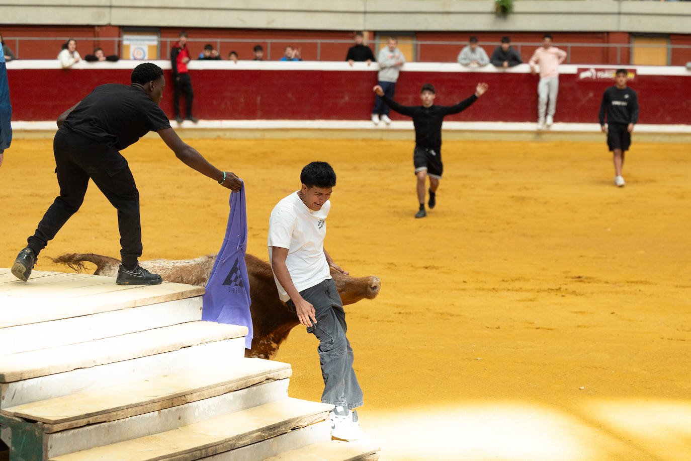 Las imágenes de las vaquillas del jueves