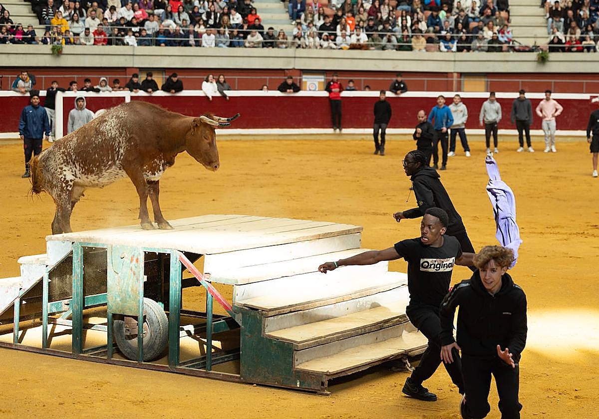 Las imágenes de las vaquillas del jueves