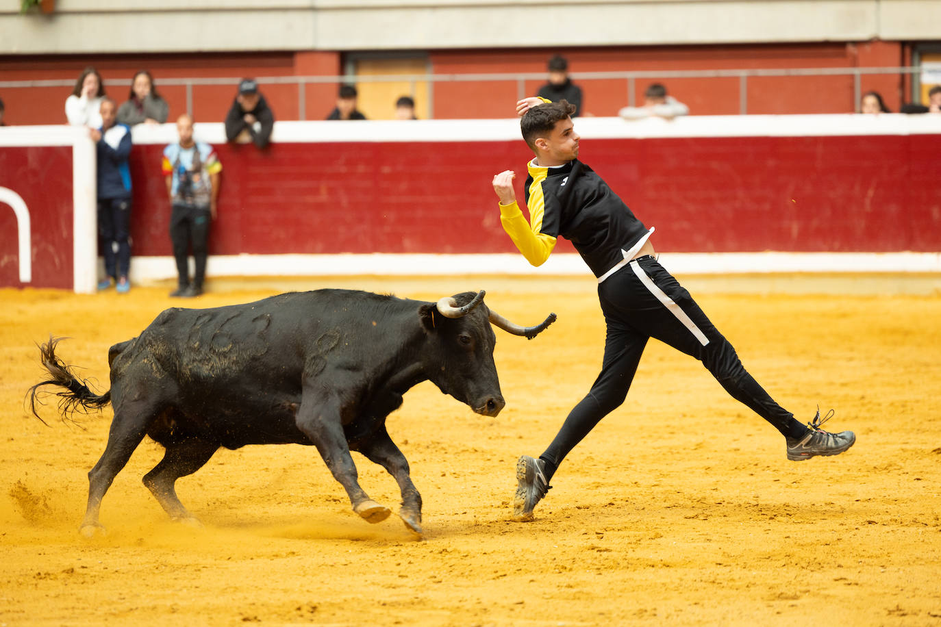 Las imágenes de las vaquillas del jueves