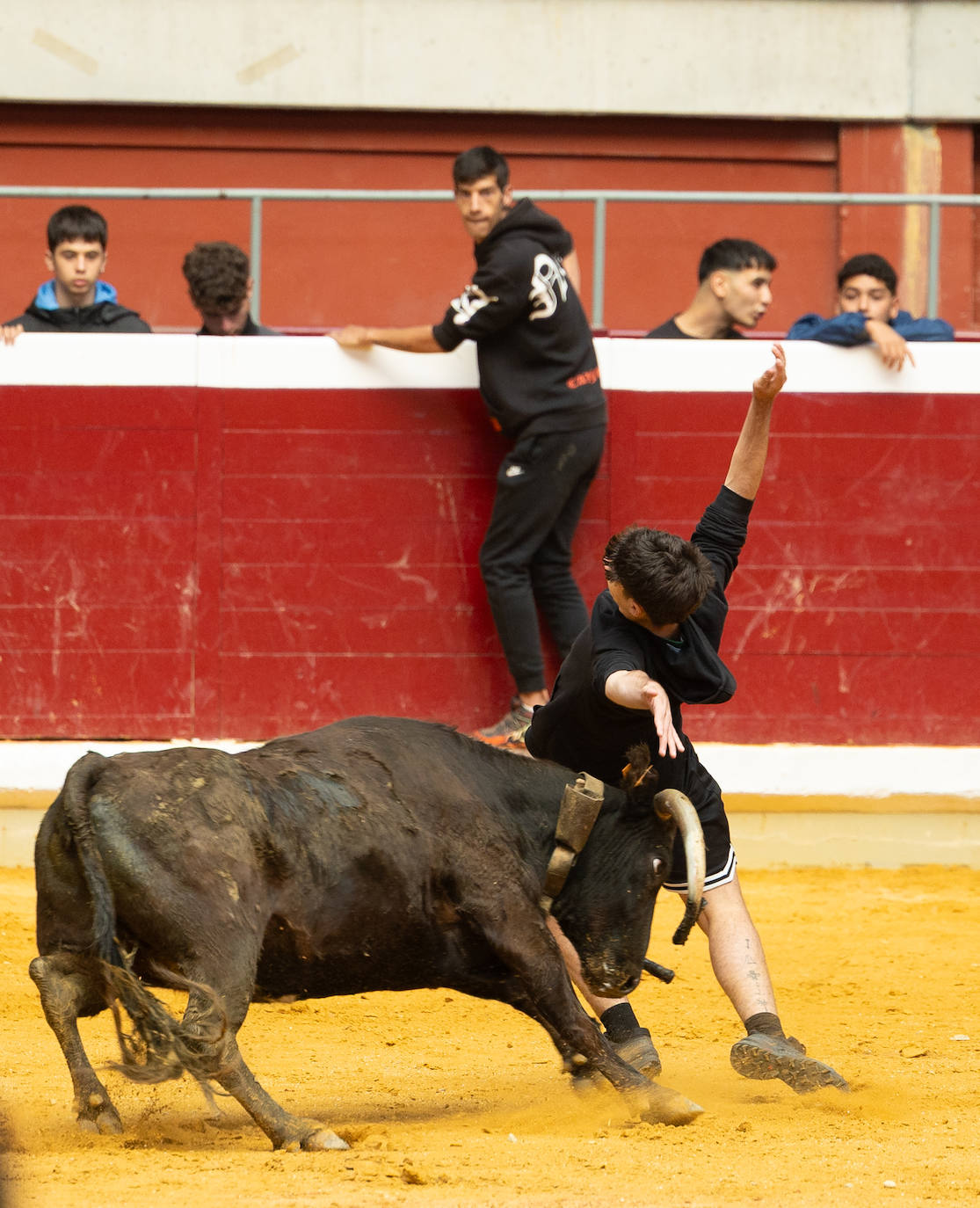 Las imágenes de las vaquillas del jueves