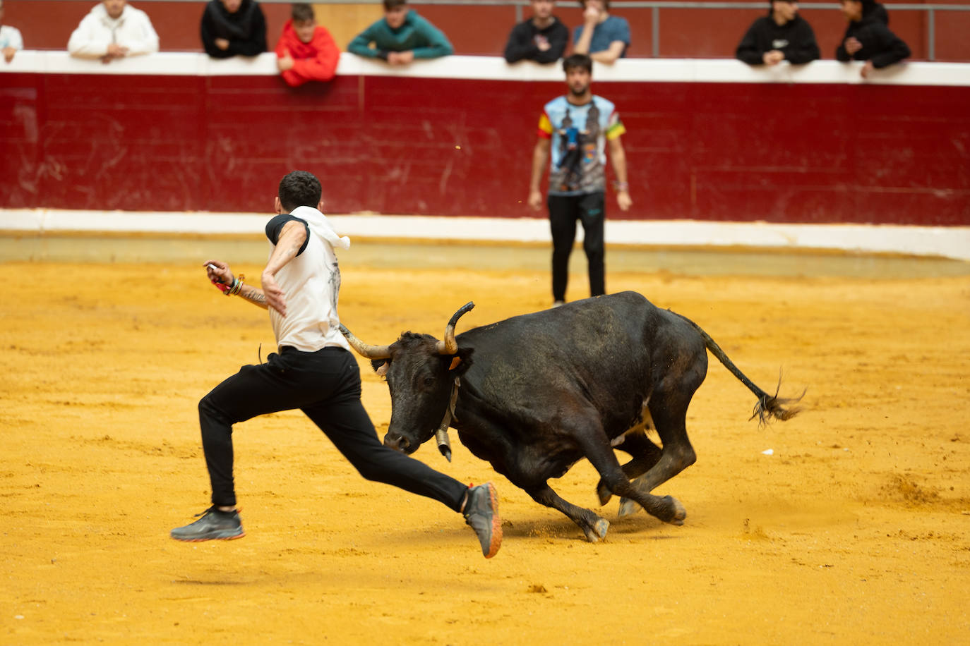 Las imágenes de las vaquillas del jueves