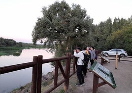 La invitación para este atardecer es dejarse conducir por los sonidos y luces de la reserva de los Sotos.