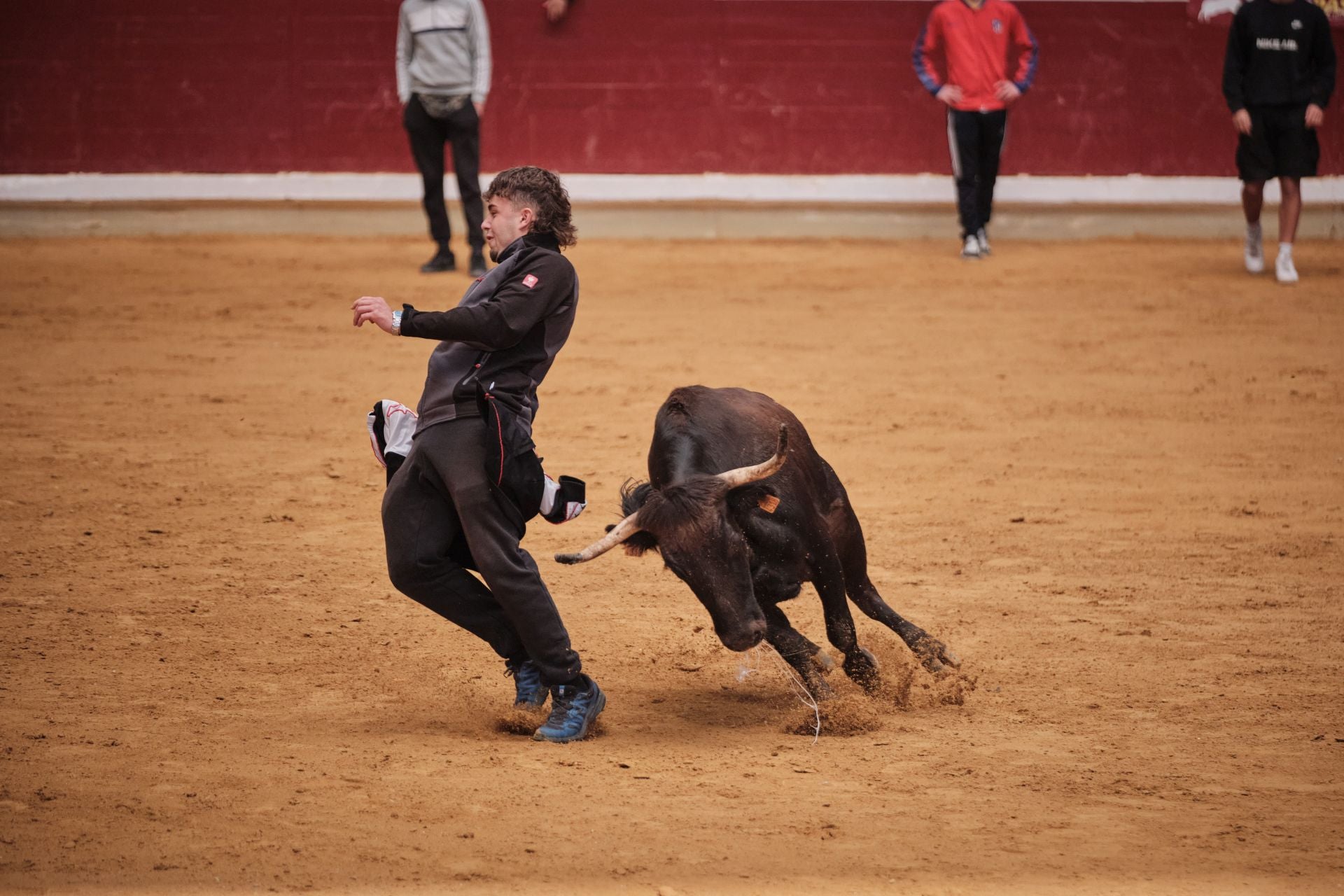 Último día de vaquillas en La Ribera