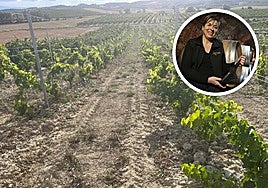 Parcela reinjertada de tempranillo tinto a garnacha blanca