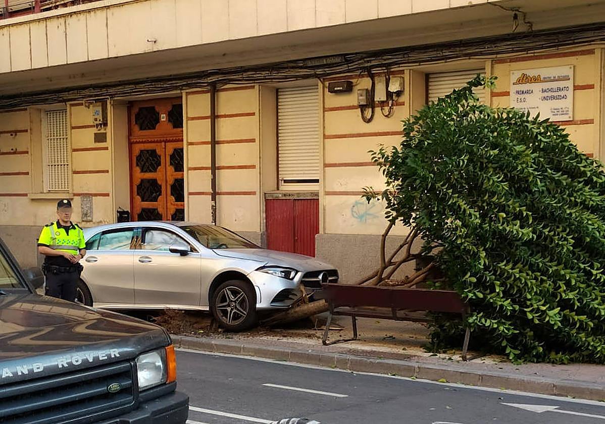 El vehículo invadió el carril bici y la acera y derribó un árbol de la calle Duquesa de la Victoria.